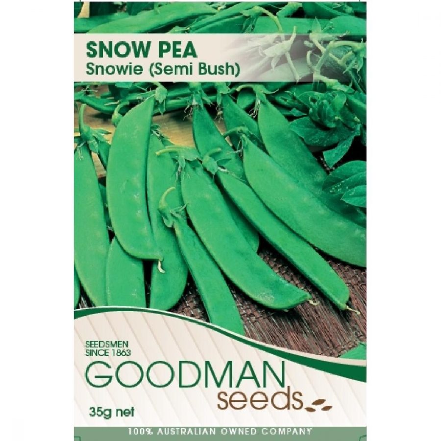Snow Pea Seeds