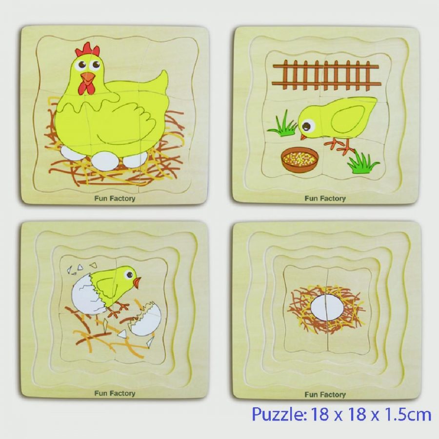 Lifecycle of a Chicken Puzzle