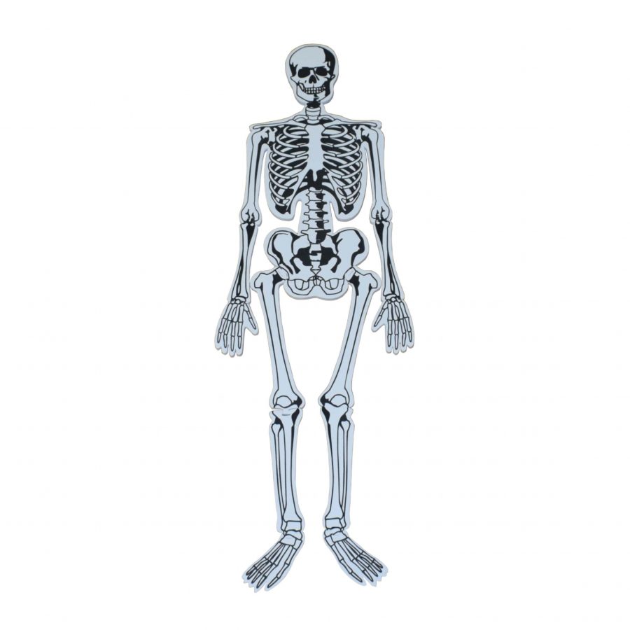 Skeleton Floor Puzzle (15pcs)