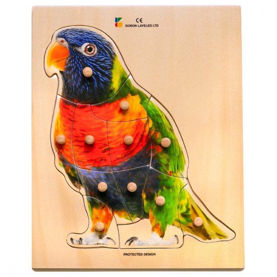 Real Parrot Peg Puzzle