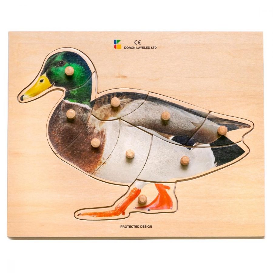 Real Duck Peg Puzzle