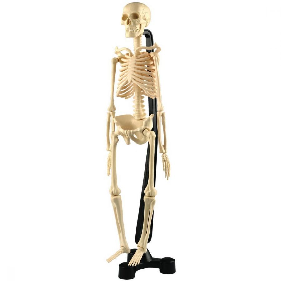 Mini Desktop Skeleton