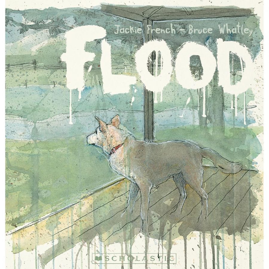 Flood Picture Book