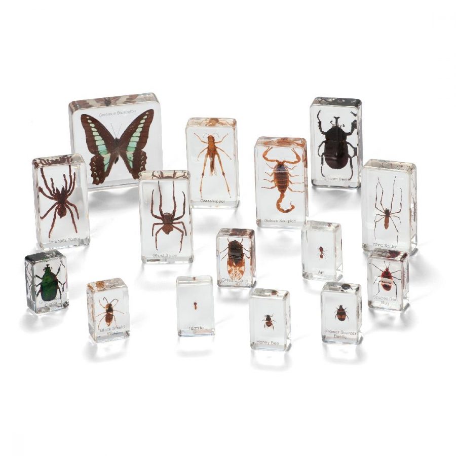 Mini Beasts Insects & Spiders Large Set