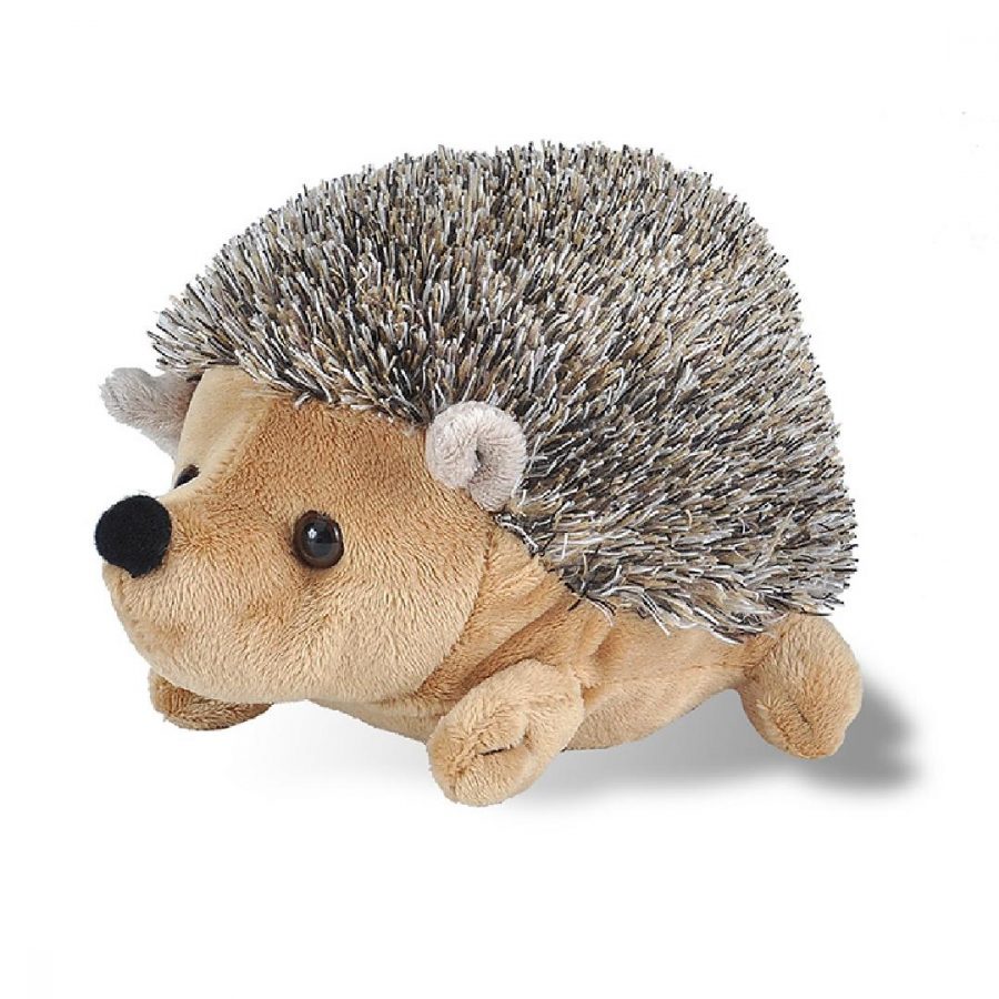 Soft Hedgehog