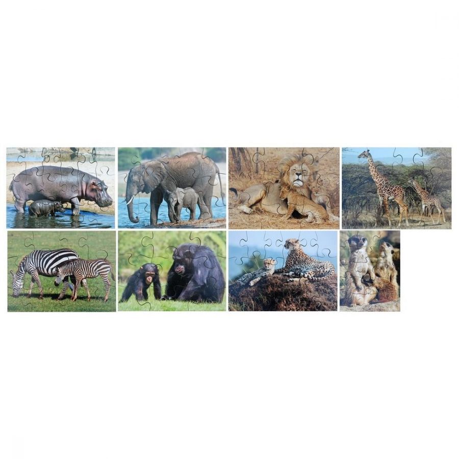 Photographic Wild Animals and Their Young Puzzles (Set of 8)