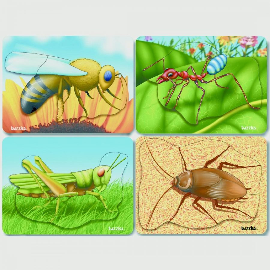 Garden Insect Puzzle Set (Set of 4)
