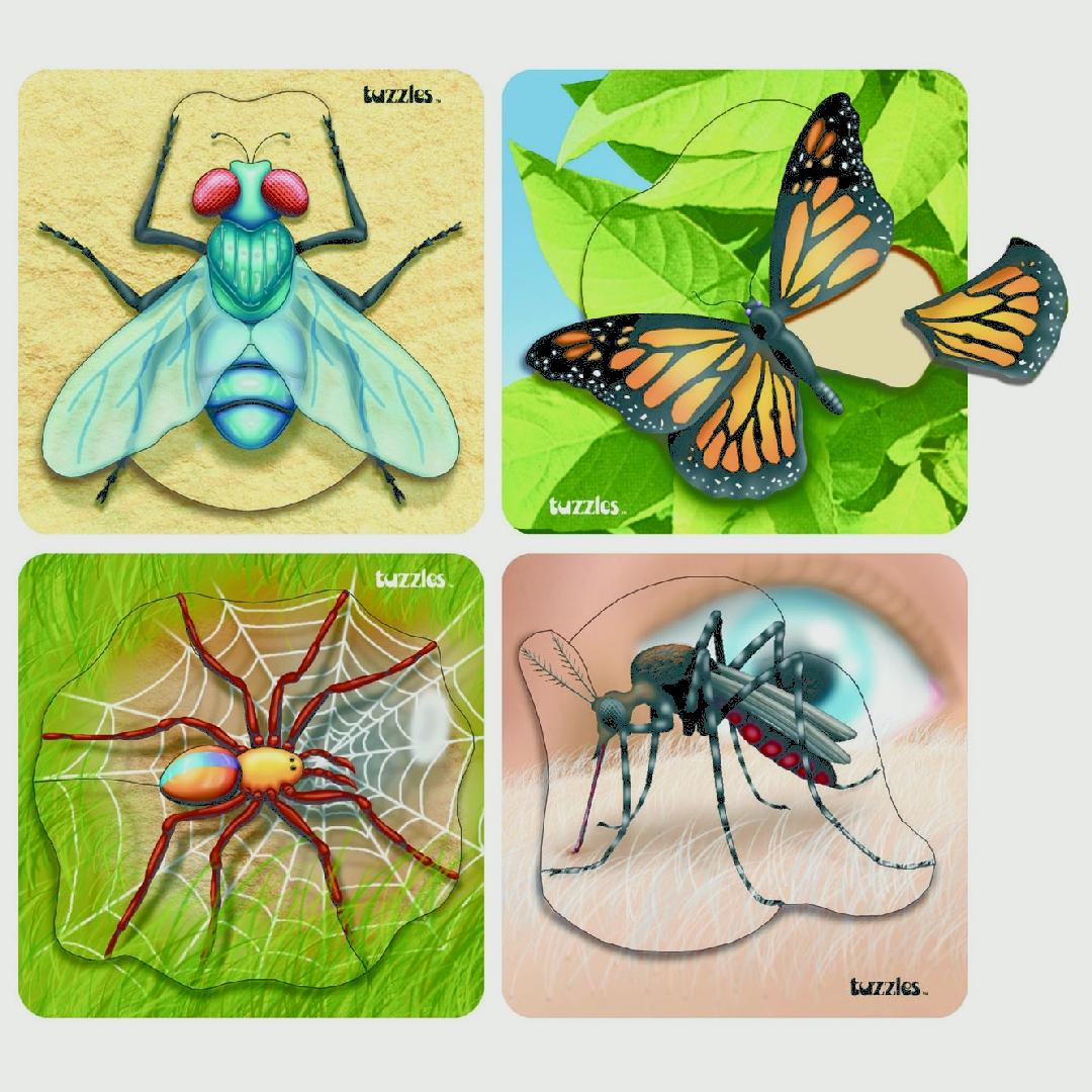 Insect Raised Puzzles (Set of 4)