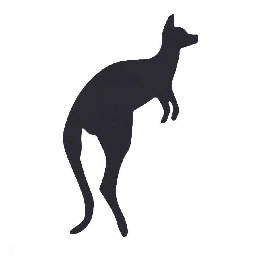 Scratch Australian Animals (30pcs)