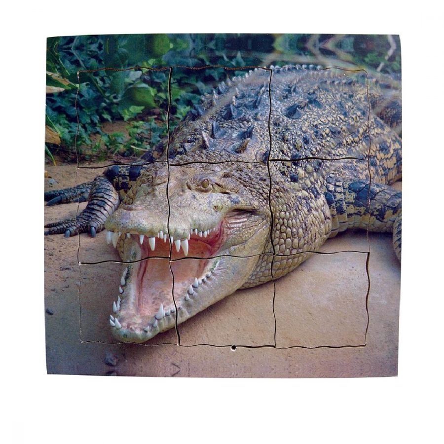 Crocodile Life Cycle Layered Tray Puzzle