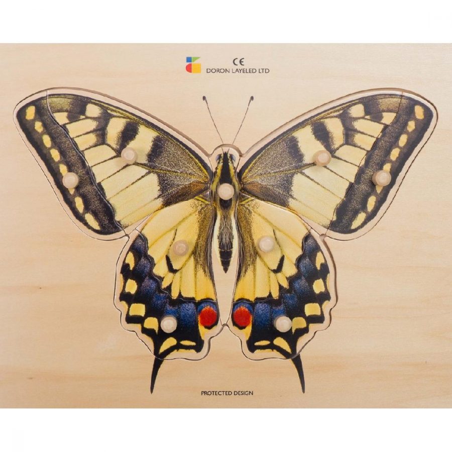 Real Butterfly Peg Puzzle