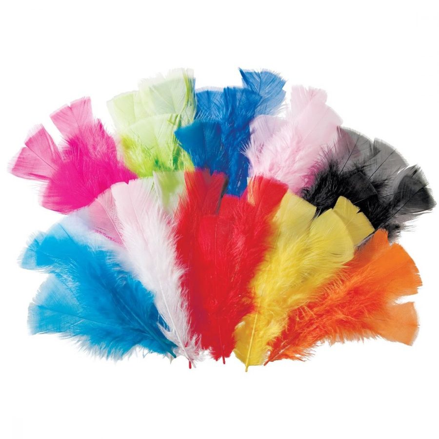 Assorted Feathers (60g)