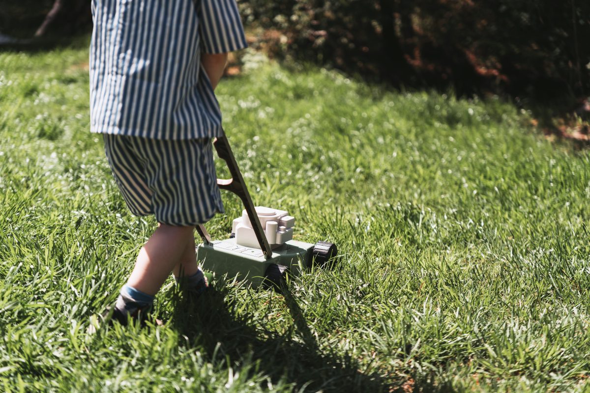 Dantoy Green Garden Lawn Mower