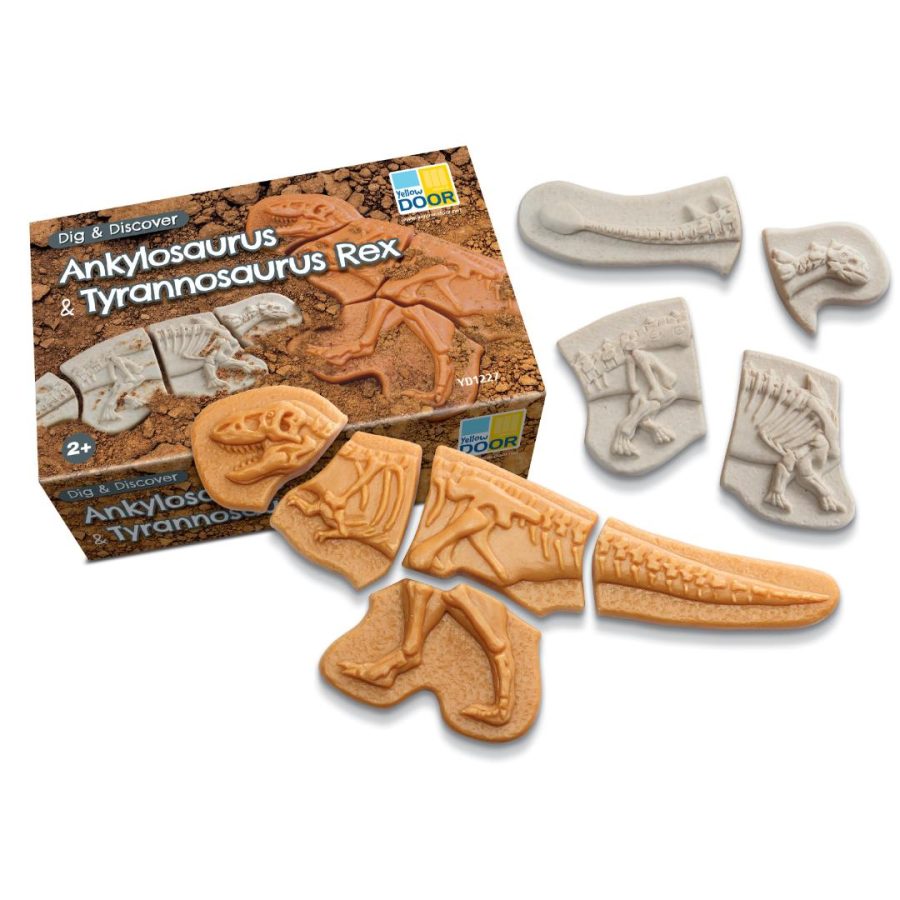 Dig & Discover - Ankylosaurus & T. Rex