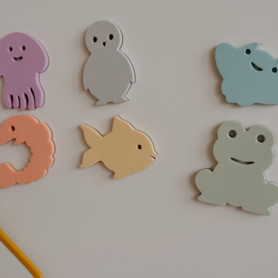 Wonder Play Magnetic Aquatic (6pcs)