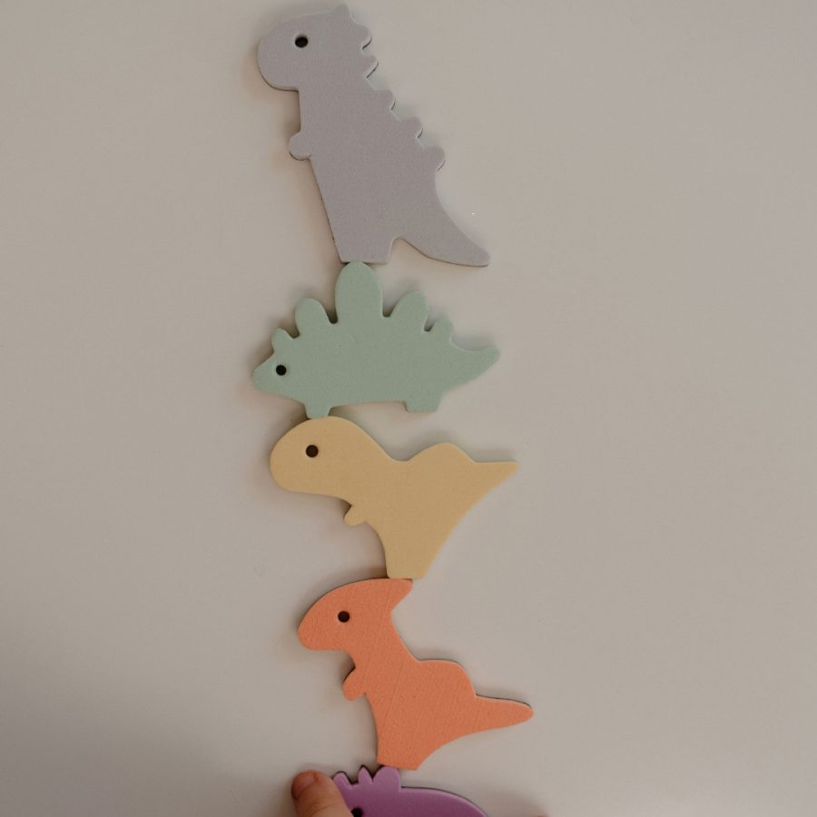 Wonder Play Magnetic Dinosaurs (6pcs)