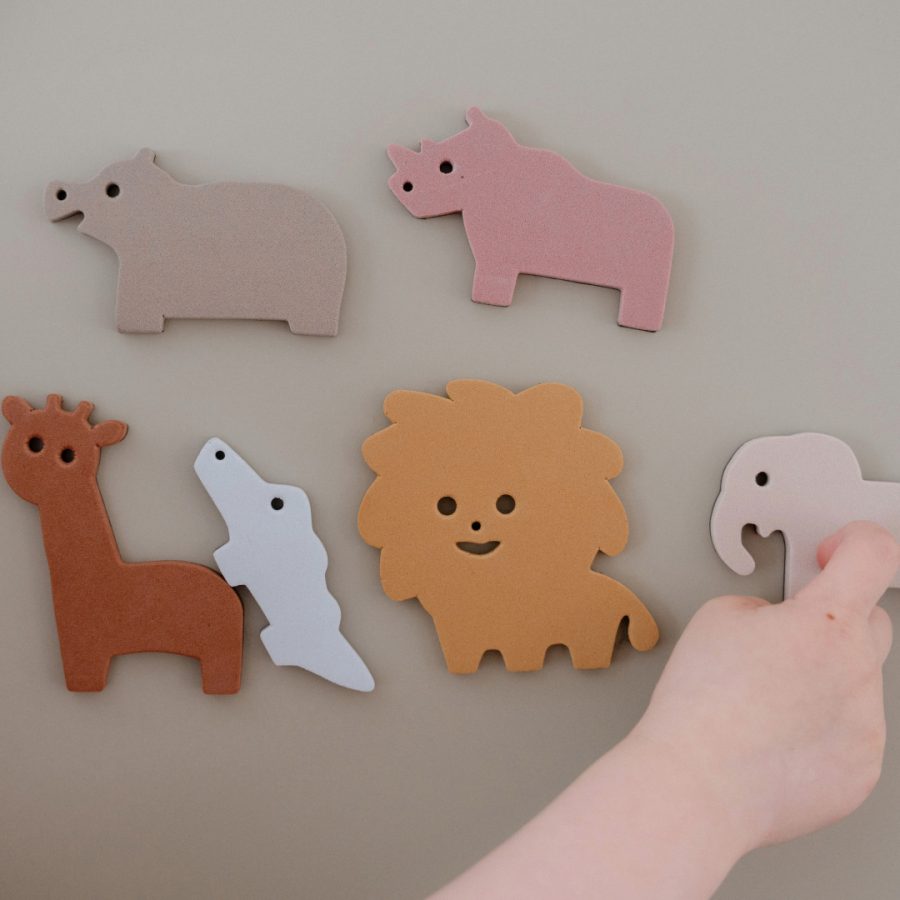 Wonder Play Magnetic Safari (6pcs)