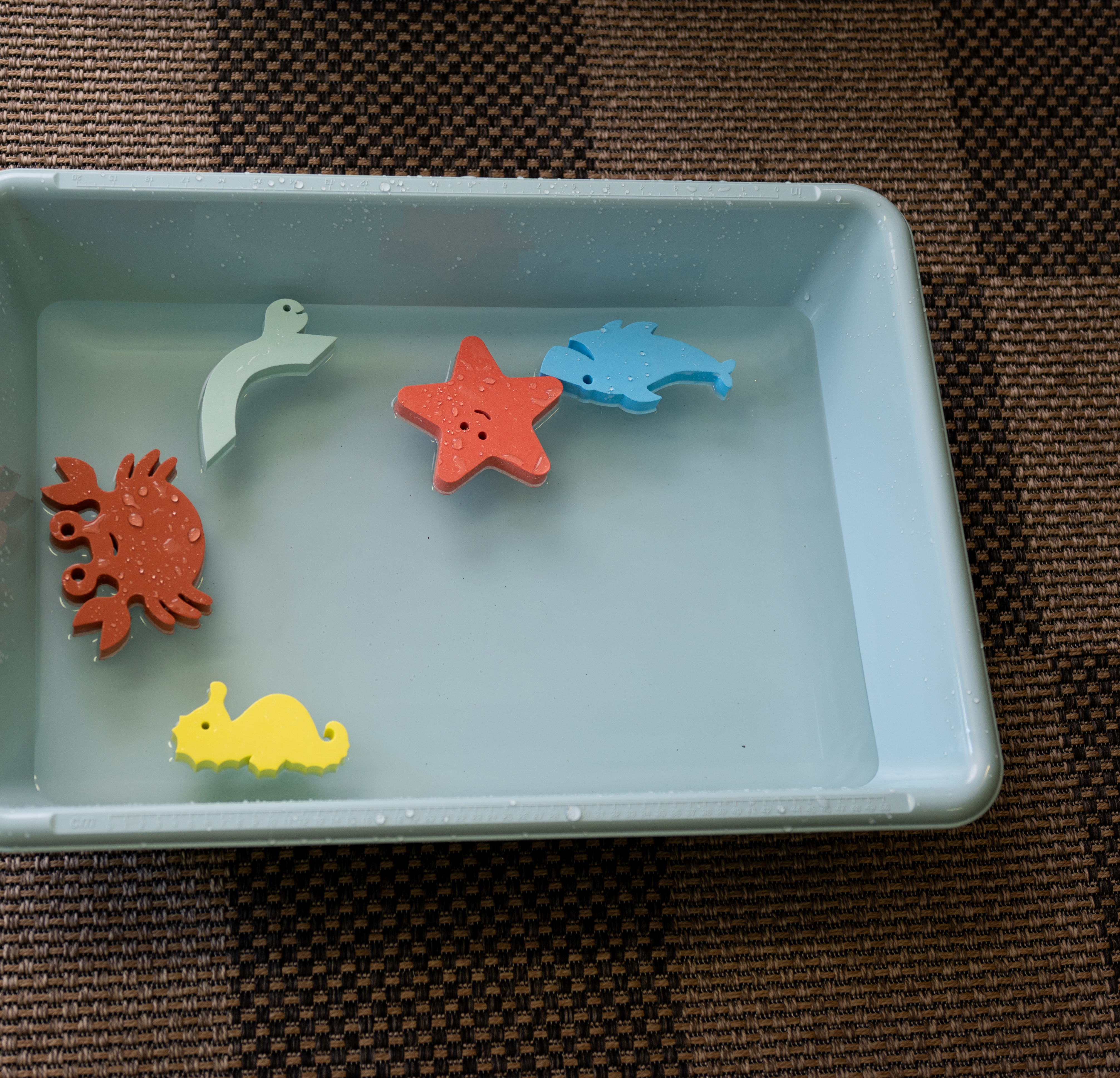 Wonder Play Waterfun Sea Life (6pcs) - Step4 Wonder Play Waterfun Sea Life (6pcs) - Image 4