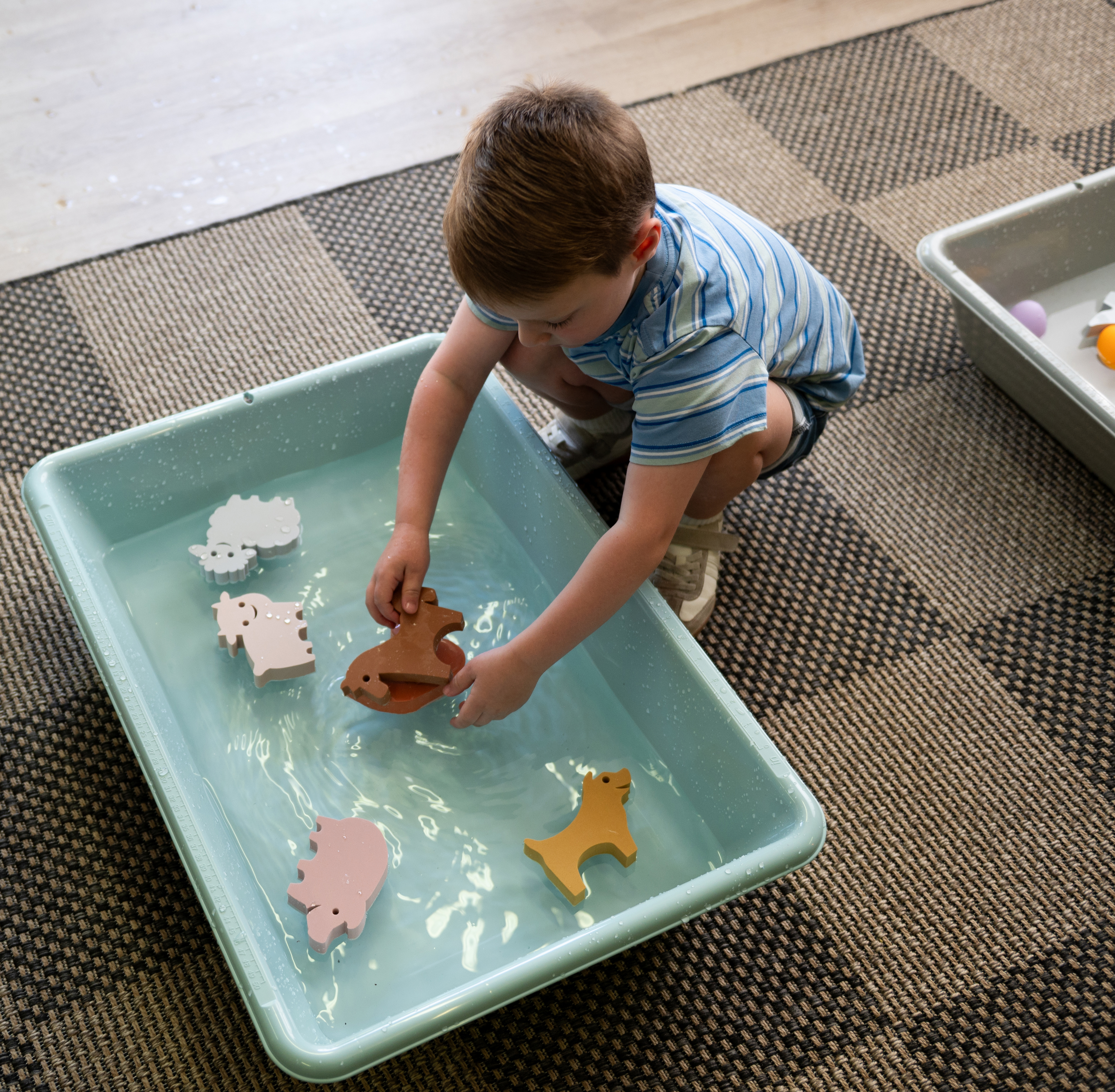 Wonder Play Waterfun Farm Set (6pcs) - Step4 Wonder Play Waterfun Farm Set (6pcs)