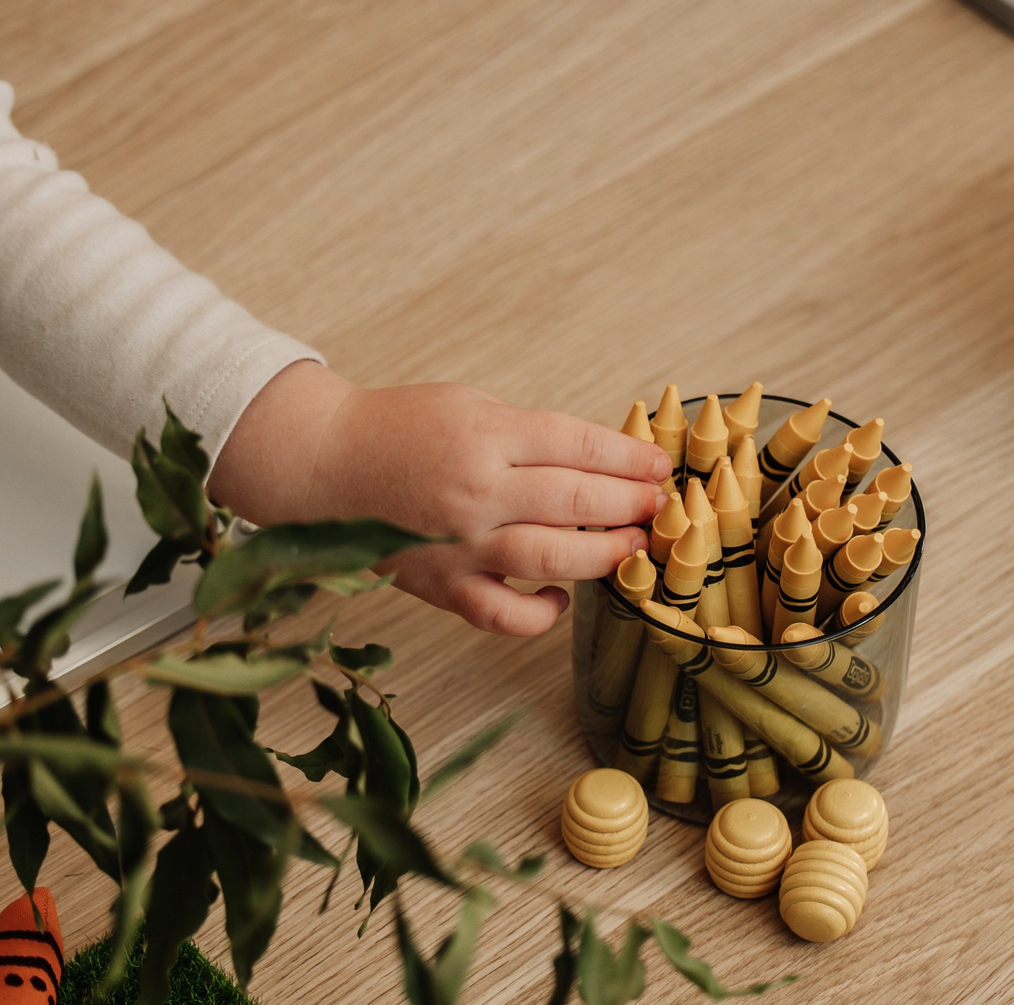 Crayons and Oil Pastels