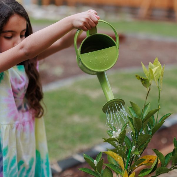 Gardening at Step4