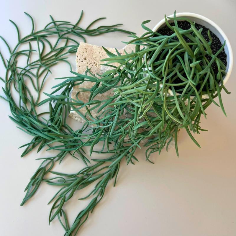 Artificial Trailing Bamboo Grass Plant - 55cm - Step4 Artificial Trailing Bamboo Grass Plant - 55cm - Image 2
