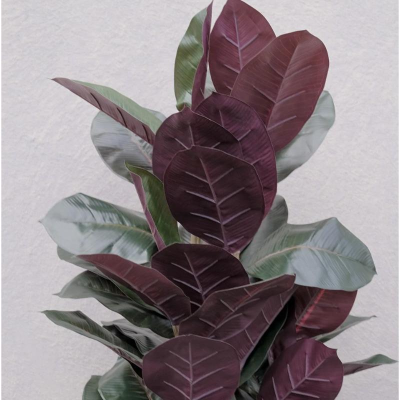 Artificial Burgundy Rubber Plant - 90cm - Step4 Artificial Burgundy Rubber Plant - 90cm - Image 2