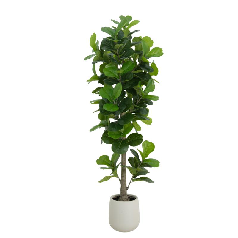 Artificial Fiddle Leaf Tree - 210cm