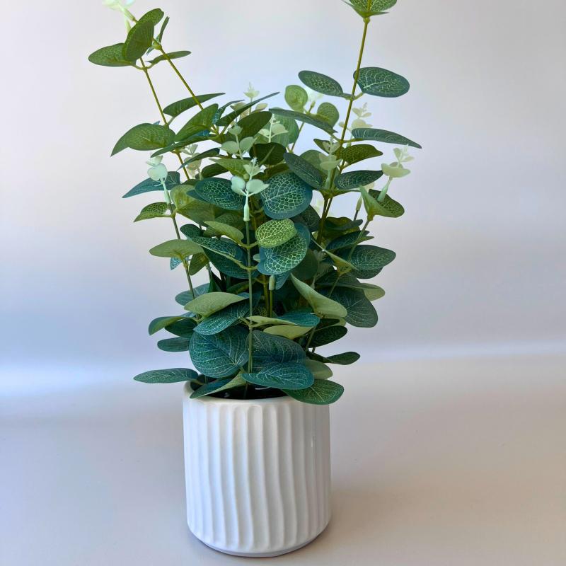 Artificial Eucalyptus Plant in Ceramic Pot - 40cm - Step4 Artificial Eucalyptus Plant in Ceramic Pot - 40cm - Image 2