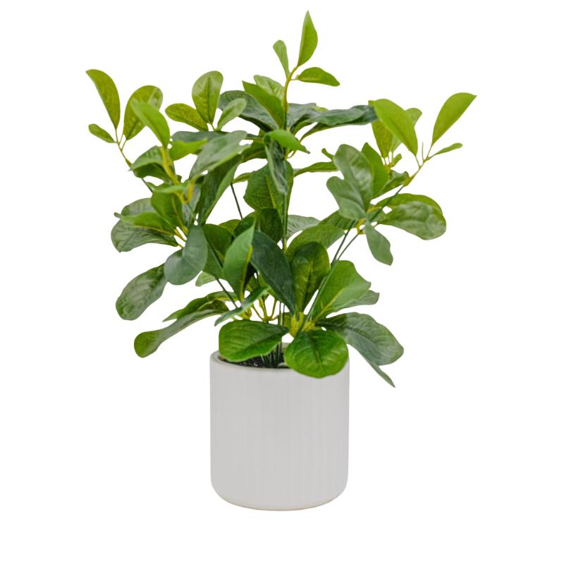 Artificial Greenery Plant in Ceramic Pot - 30cm