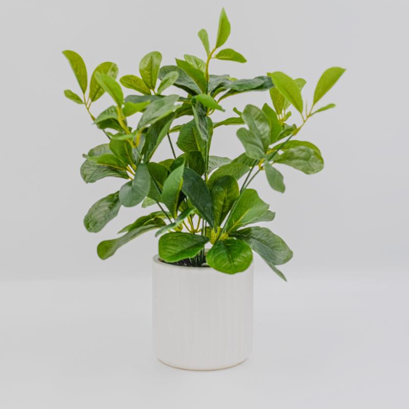 Artificial Greenery Plant in Ceramic Pot - 30cm - Step4 Artificial Greenery Plant in Ceramic Pot - 30cm - Image 2