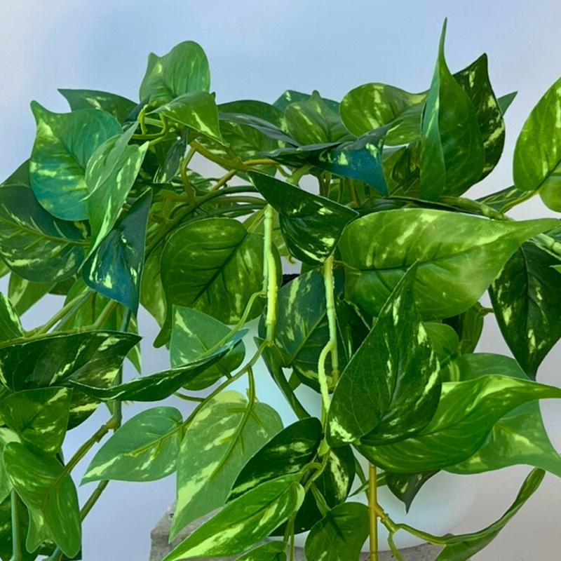 Artificial Pothos (Devil's Ivy) Trailing Plant - 35cm - Step4 Artificial Pothos (Devil's Ivy) Trailing Plant - 35cm - Image 3