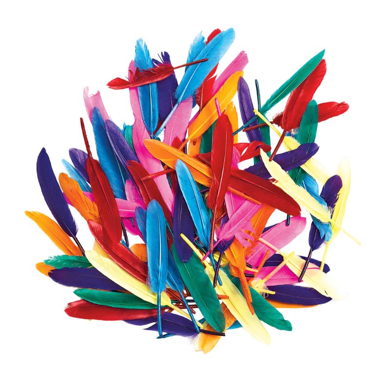 Rainbow Quill Feathers (28g)