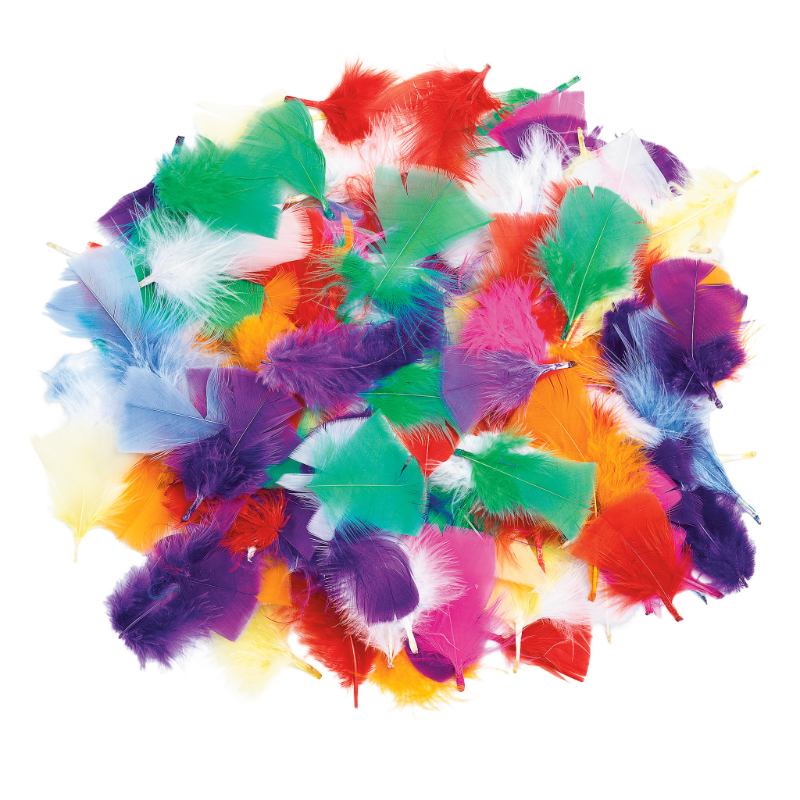 Rainbow Feathers (85g)
