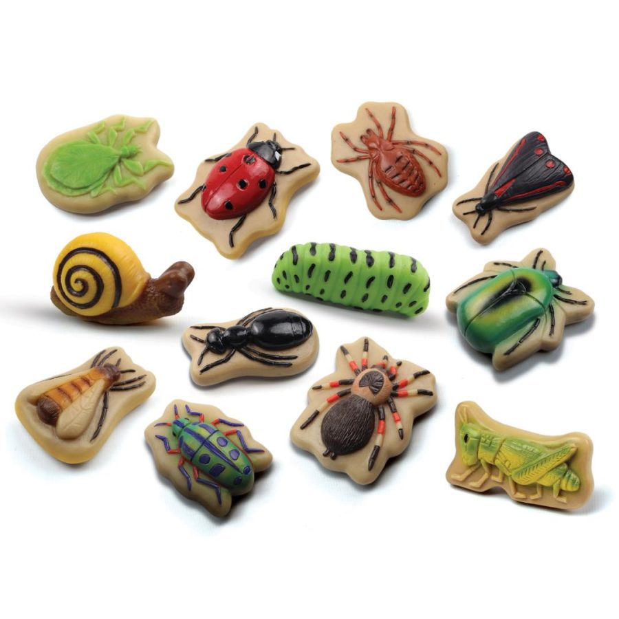 New Arrivals - Step4 Sensory Play Stones - Bugs