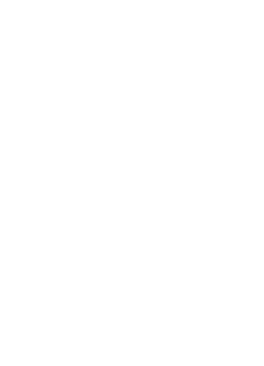 Blacktown City Council