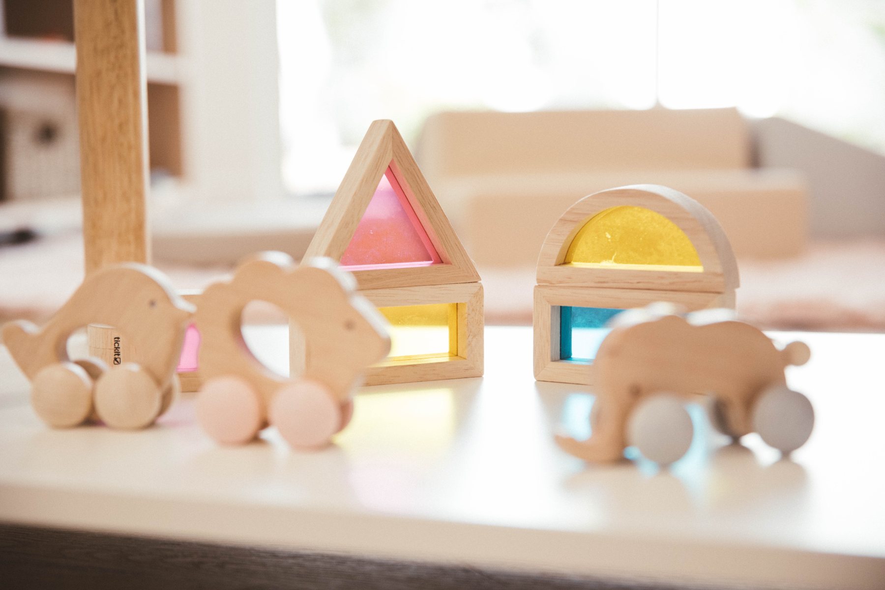 Wooden animal push toys and rainbow sensory blocks
