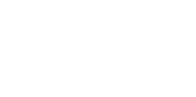 Young Academics
